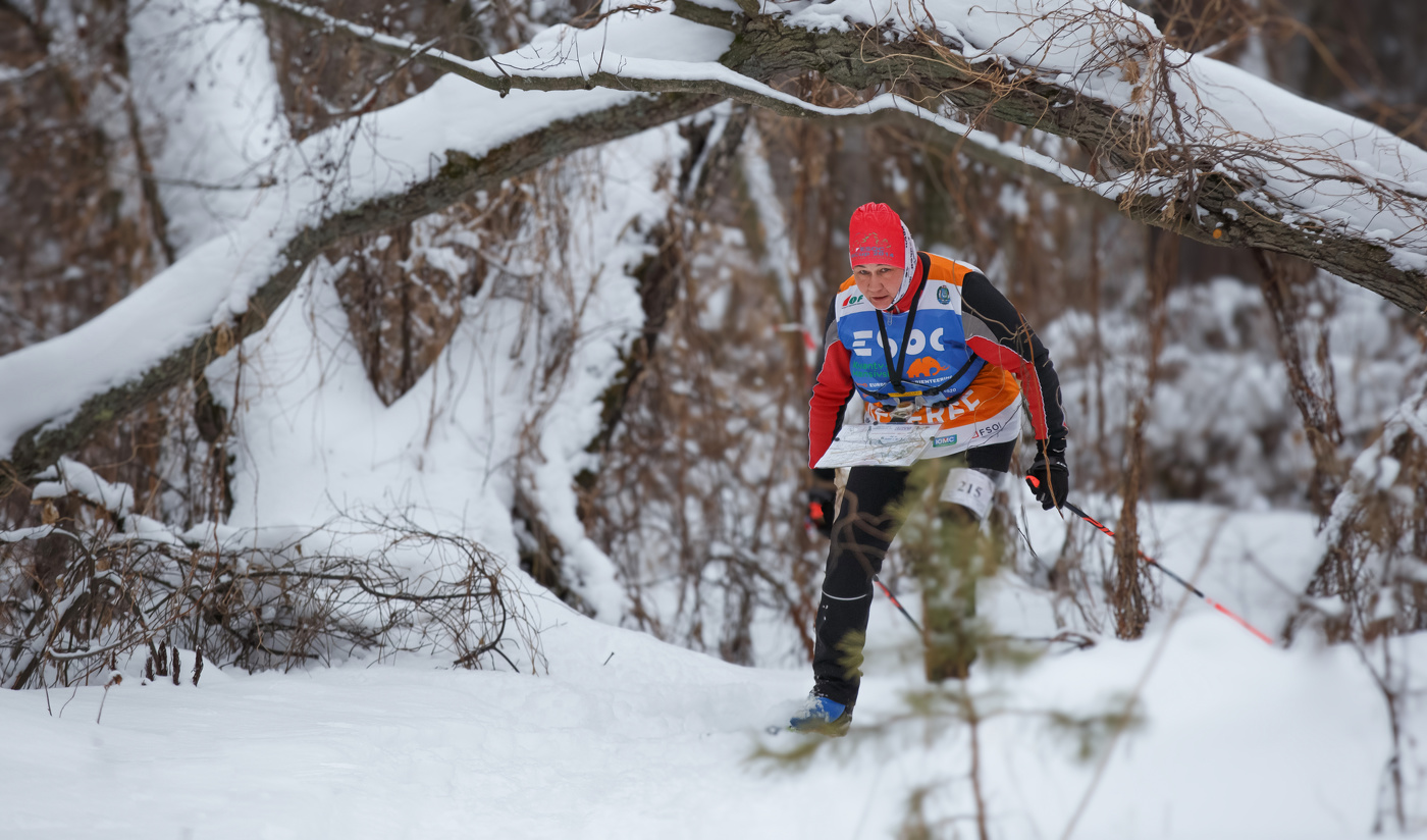 Спортивное ориентирование на лыжах