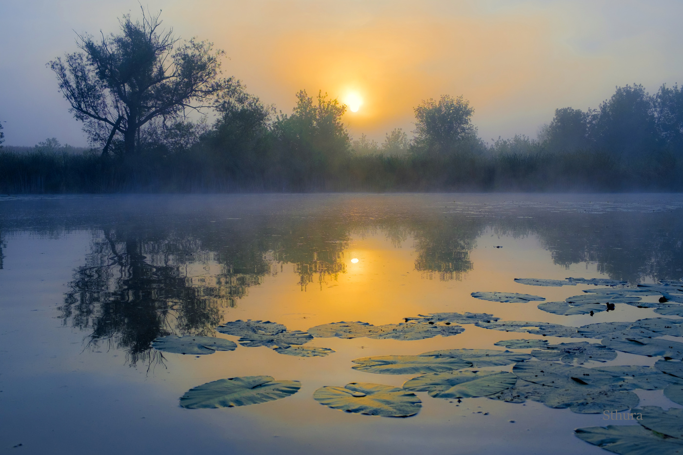 Рассвет на озере.