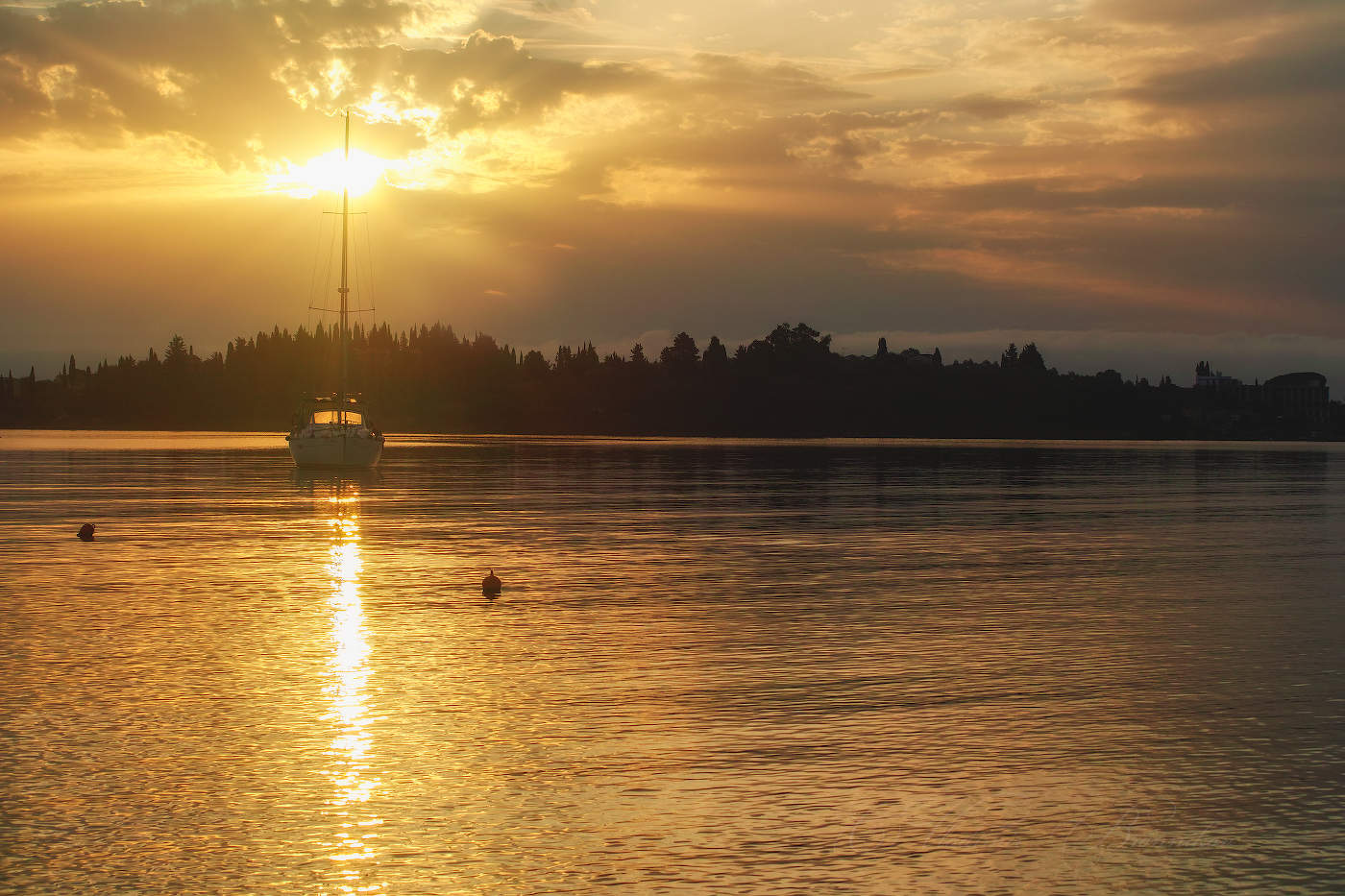 Золотое утро