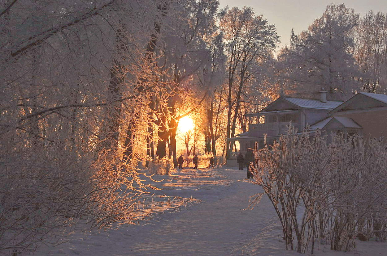 Зимним вечером в усадьбе Тургенева