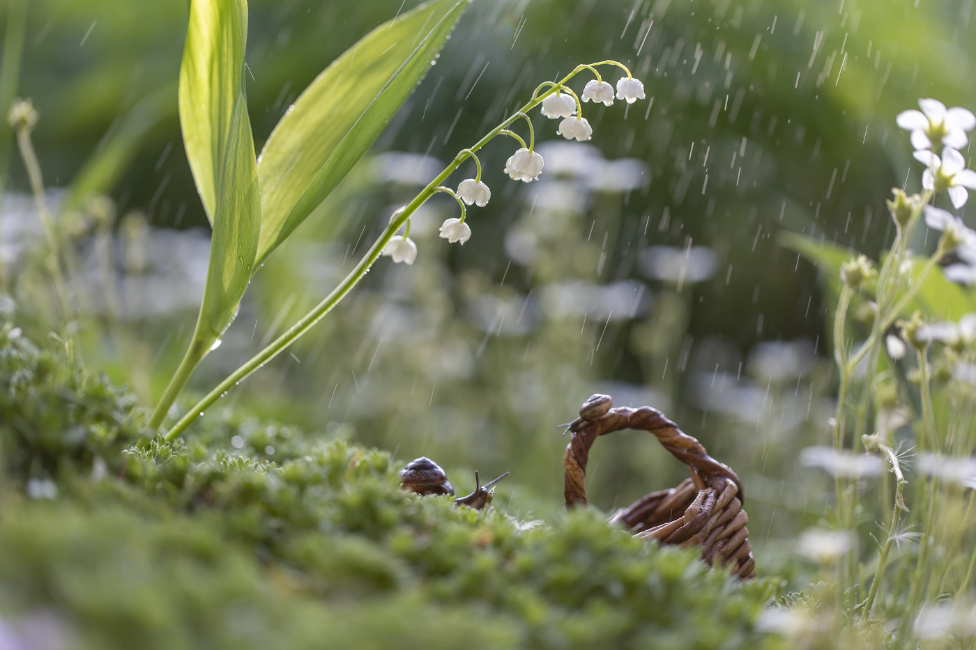 Просто летний дождь пошел....