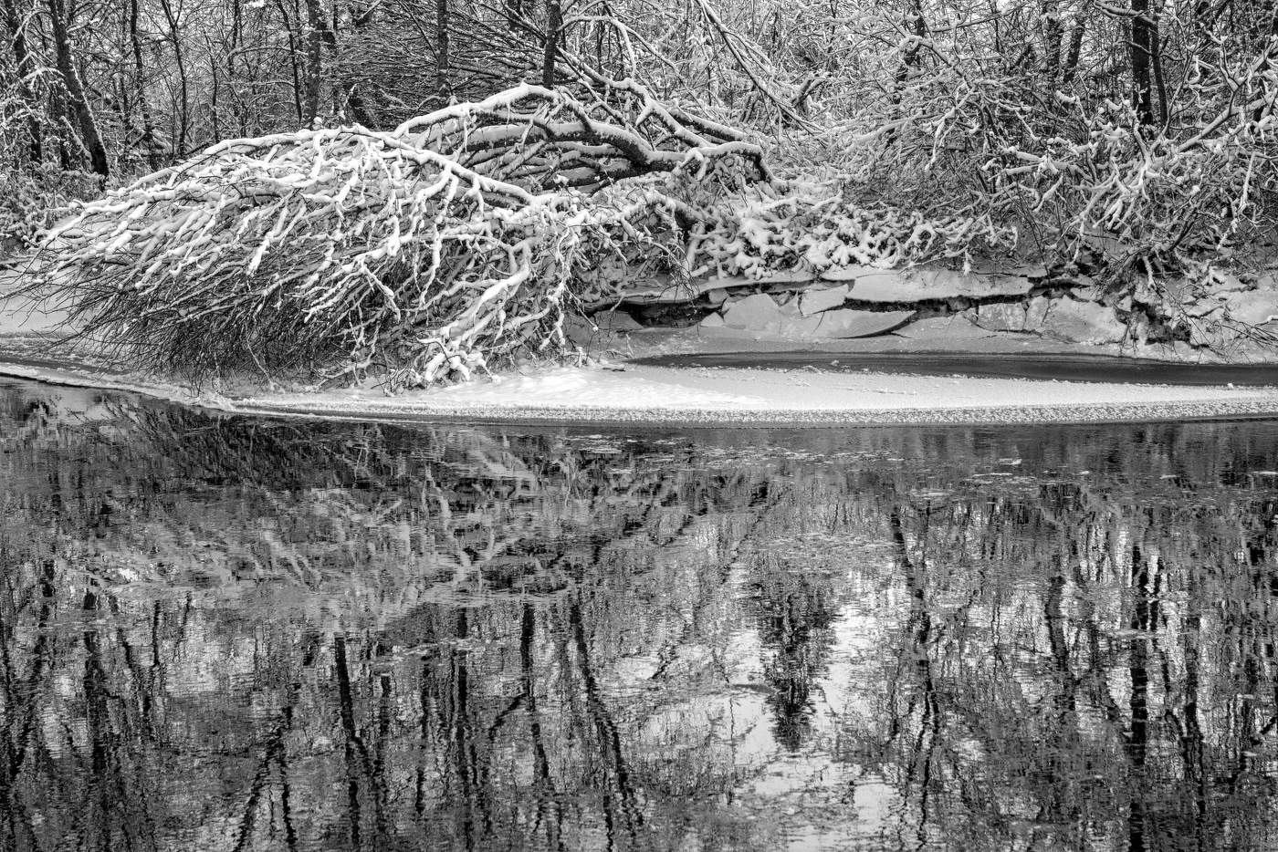 Жизнь вокруг