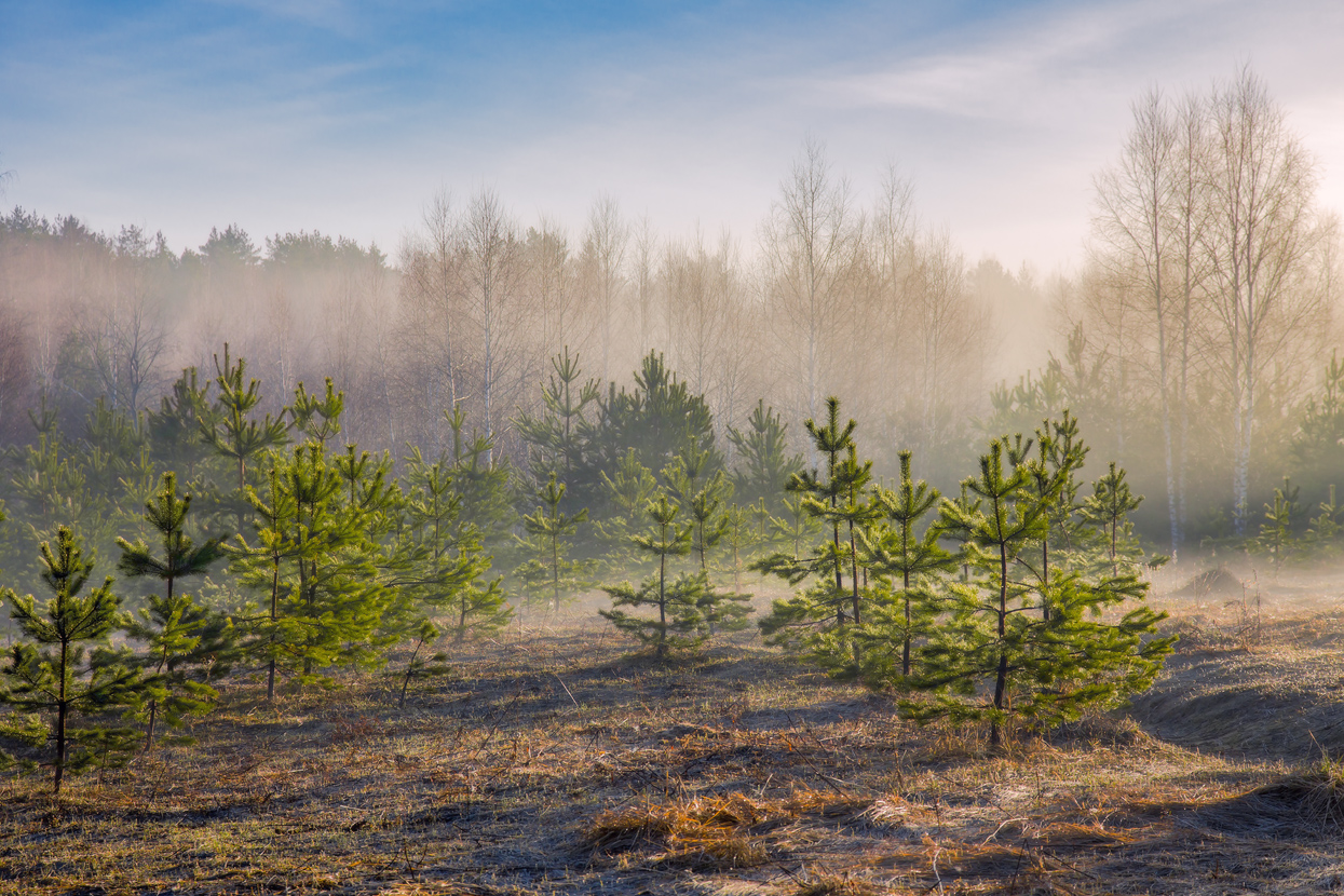 С добрым утром.