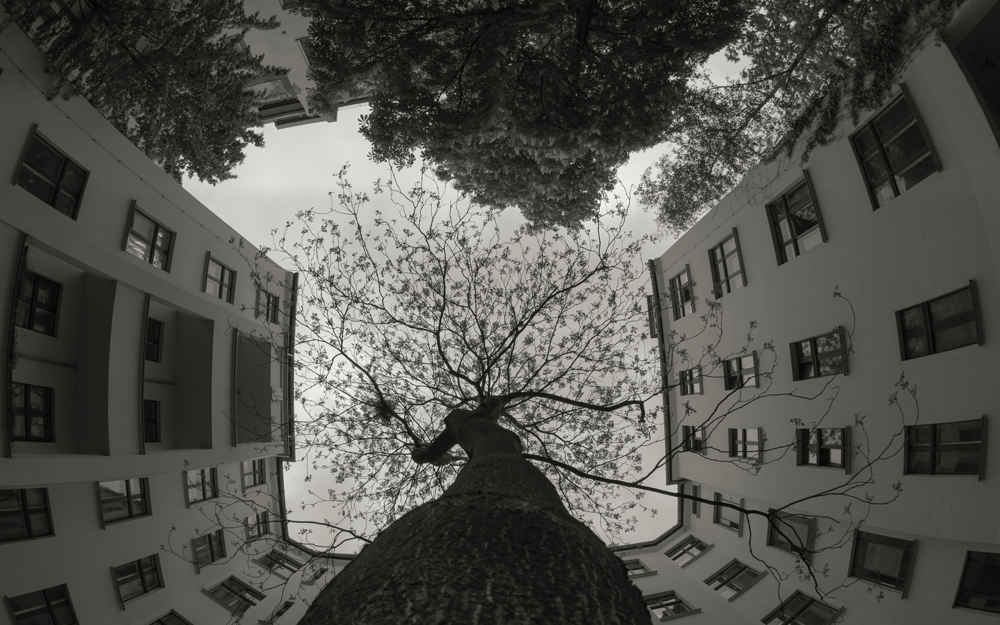 Отпусти на волю