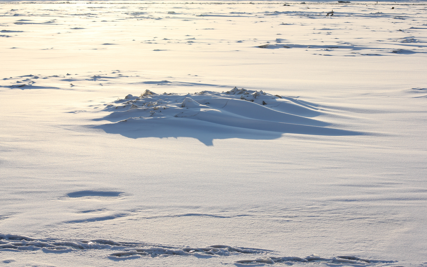 Снежные акулы.