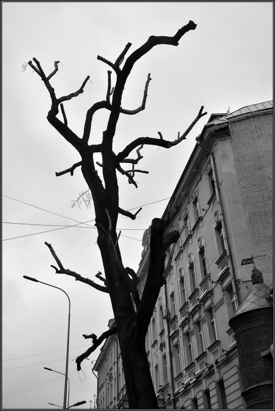 ...."Наблюдатель" ....