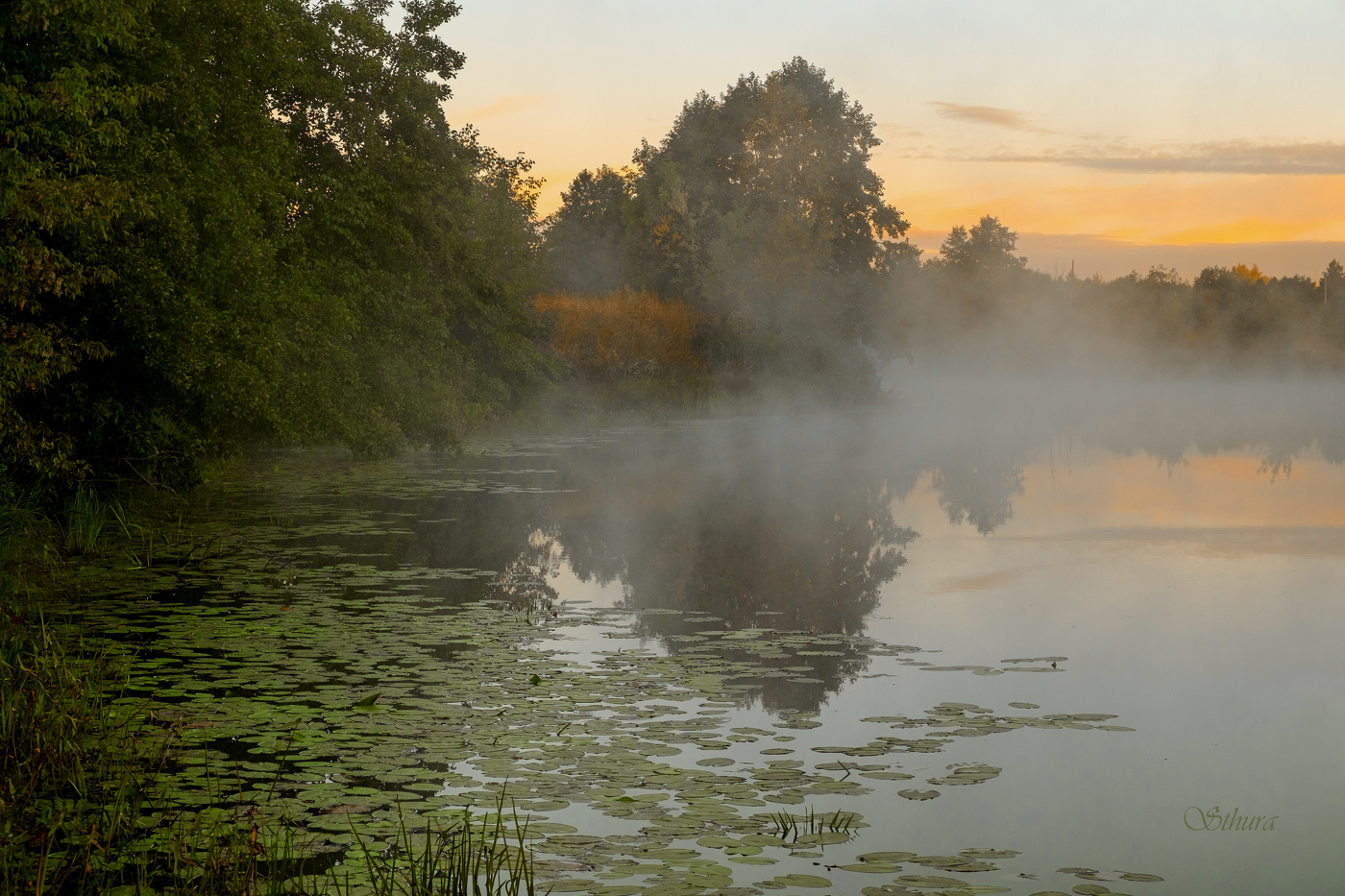 Утро на озере Рожок.