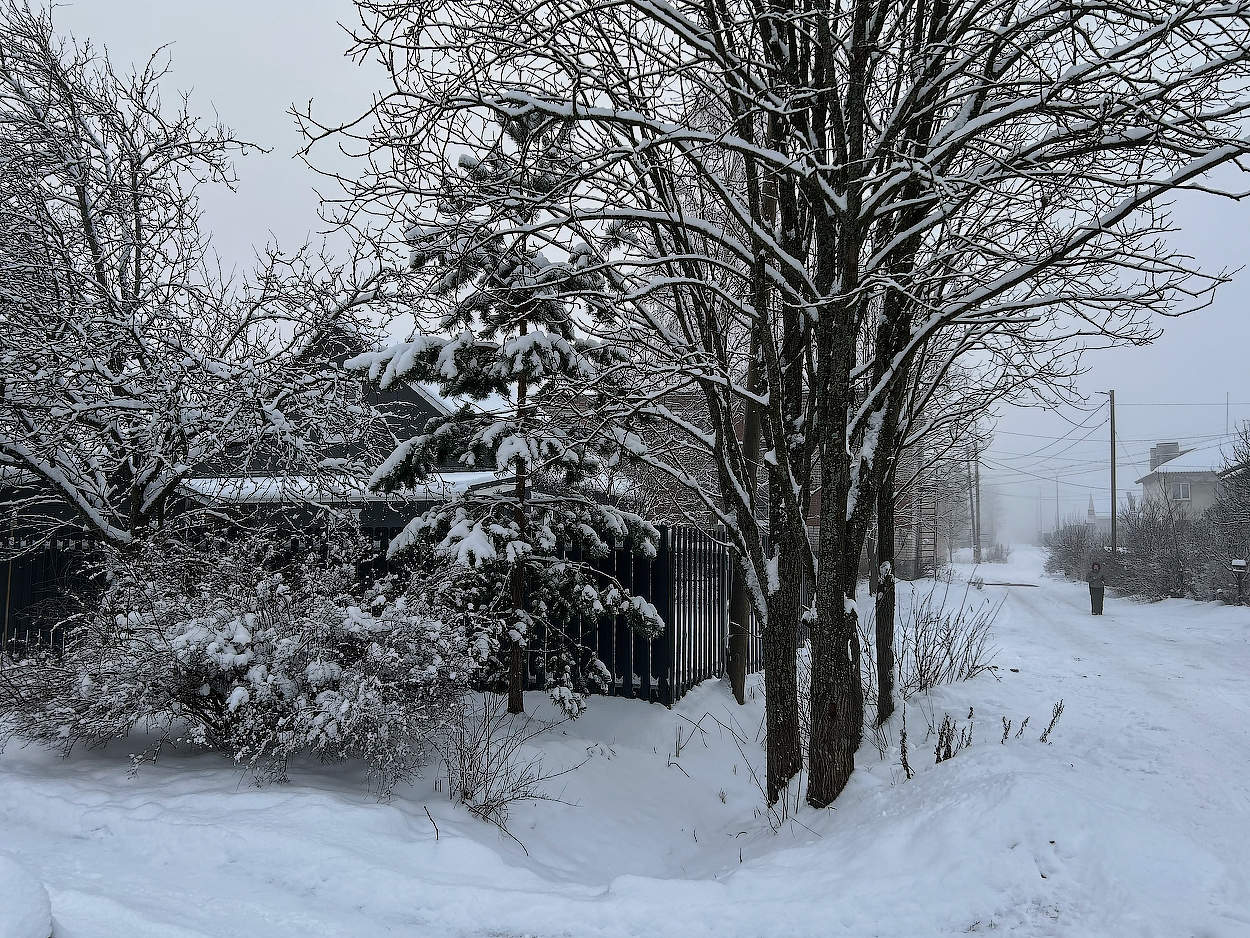 зимний, снежный день