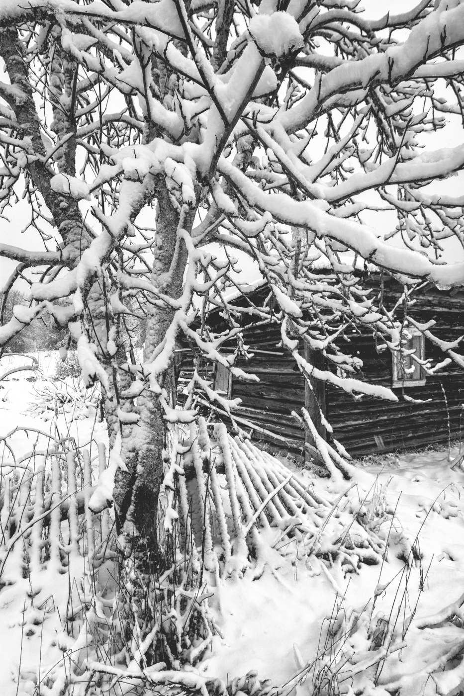 Жизнь вокруг