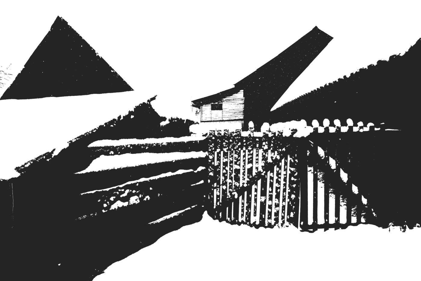 Жизнь вокруг