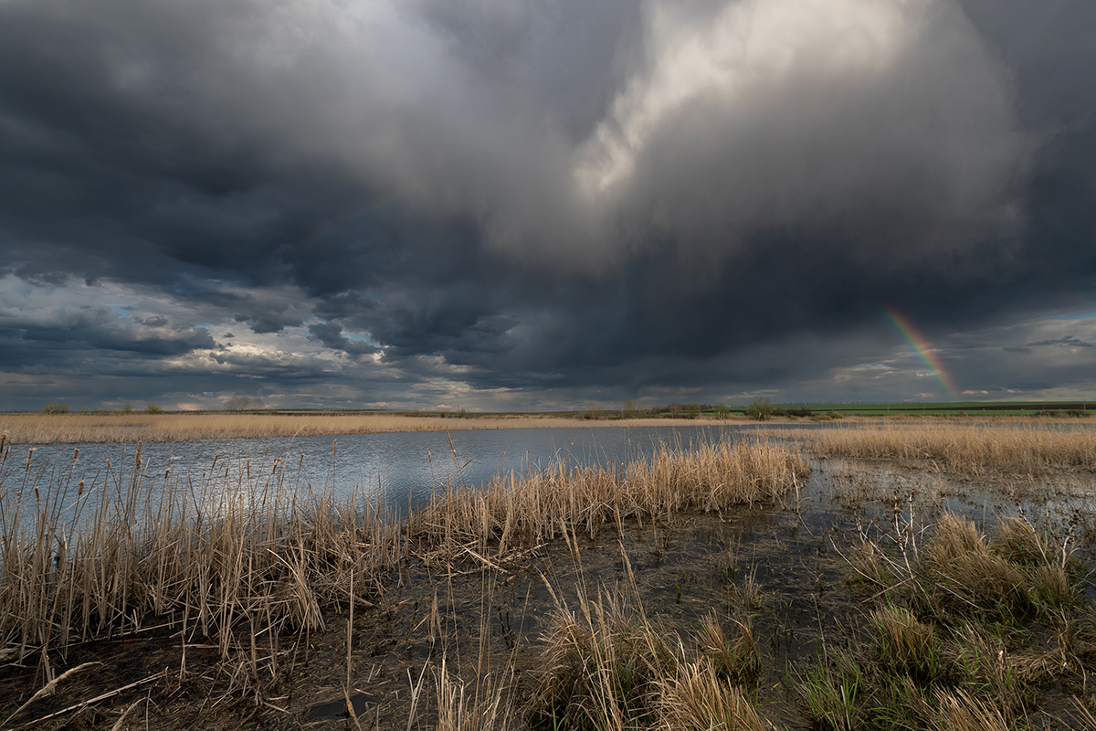 Гроза пронеслась