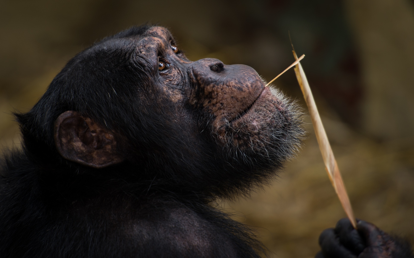 А если жизнь на Марсе !?