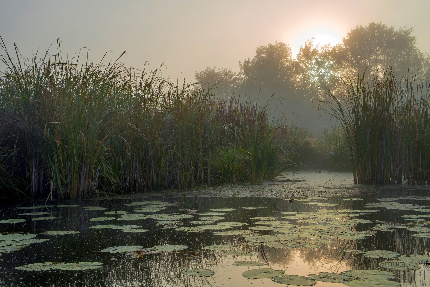 Осеннее утро.