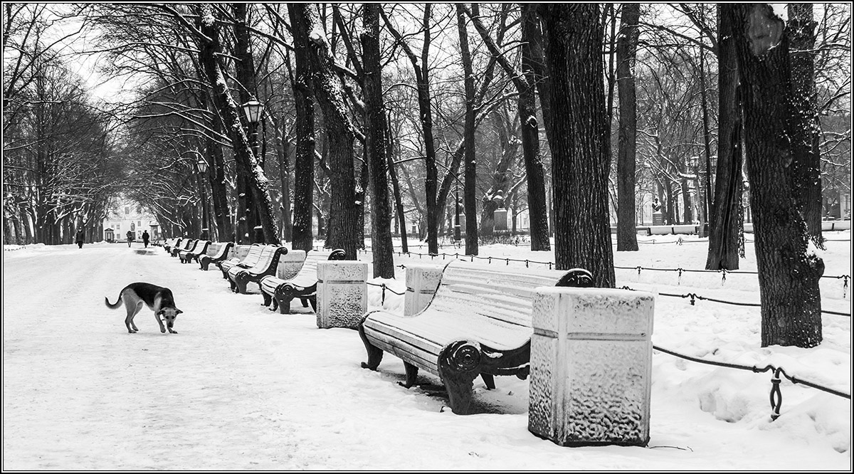 Депрессивный Петербург.