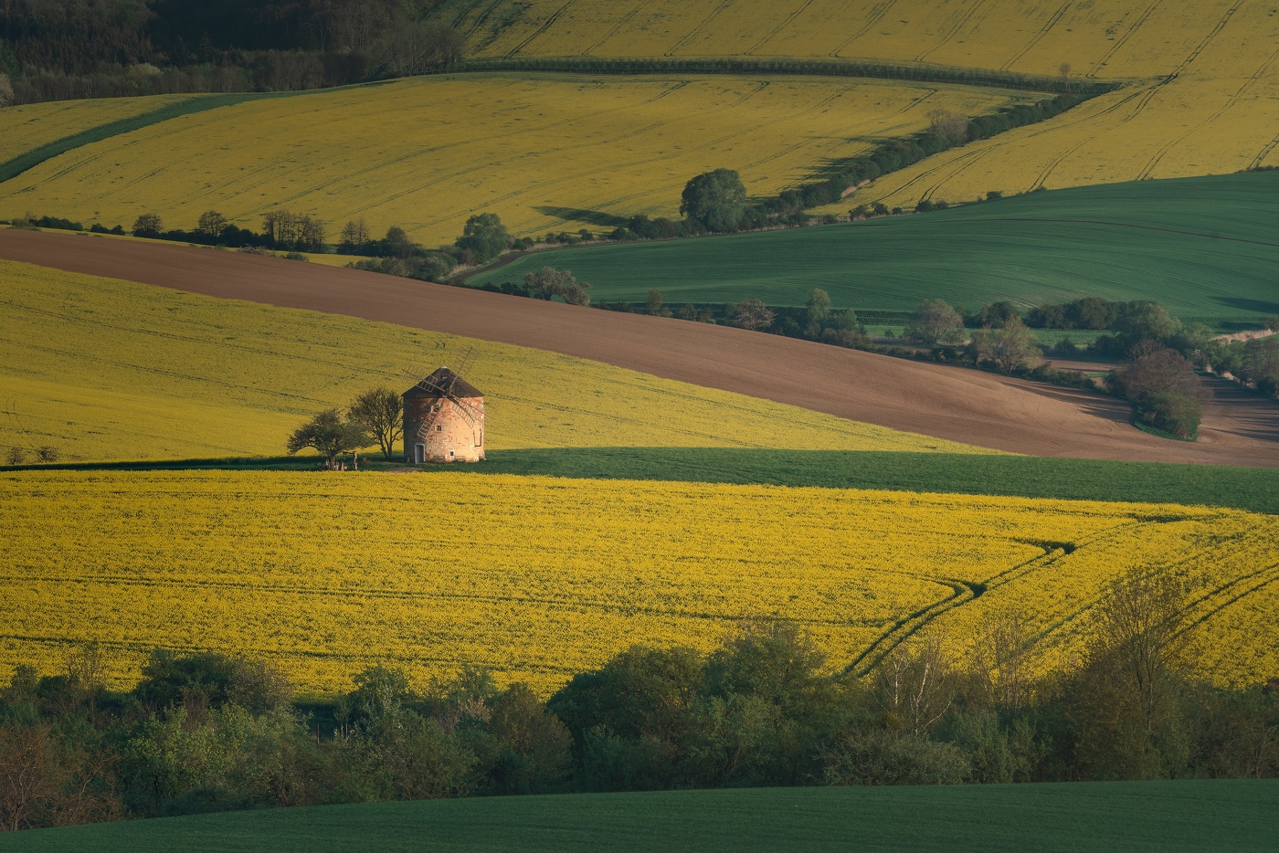 Старая мельница