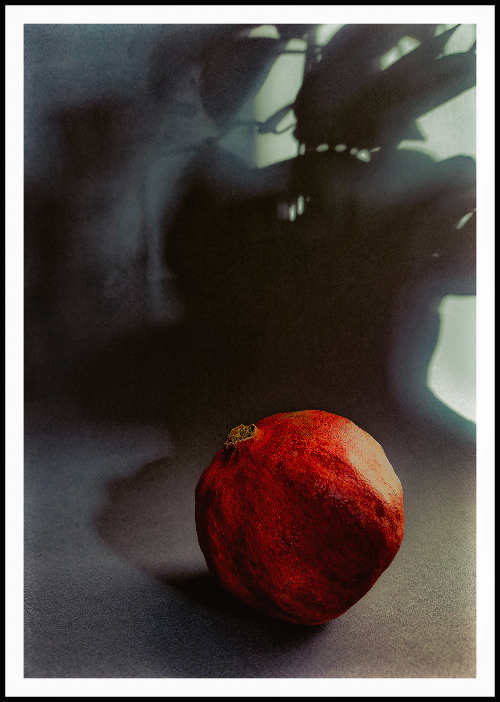 Засохший гранат.