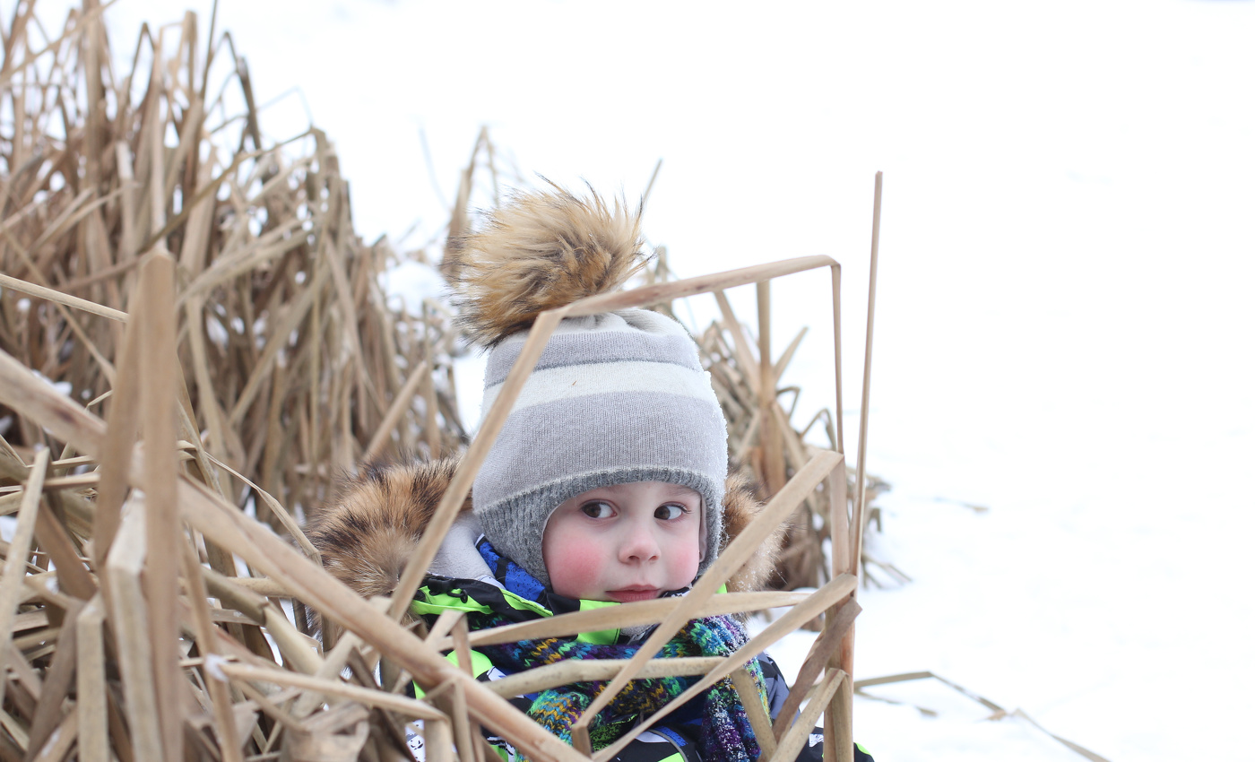 Камышовый пумпон.