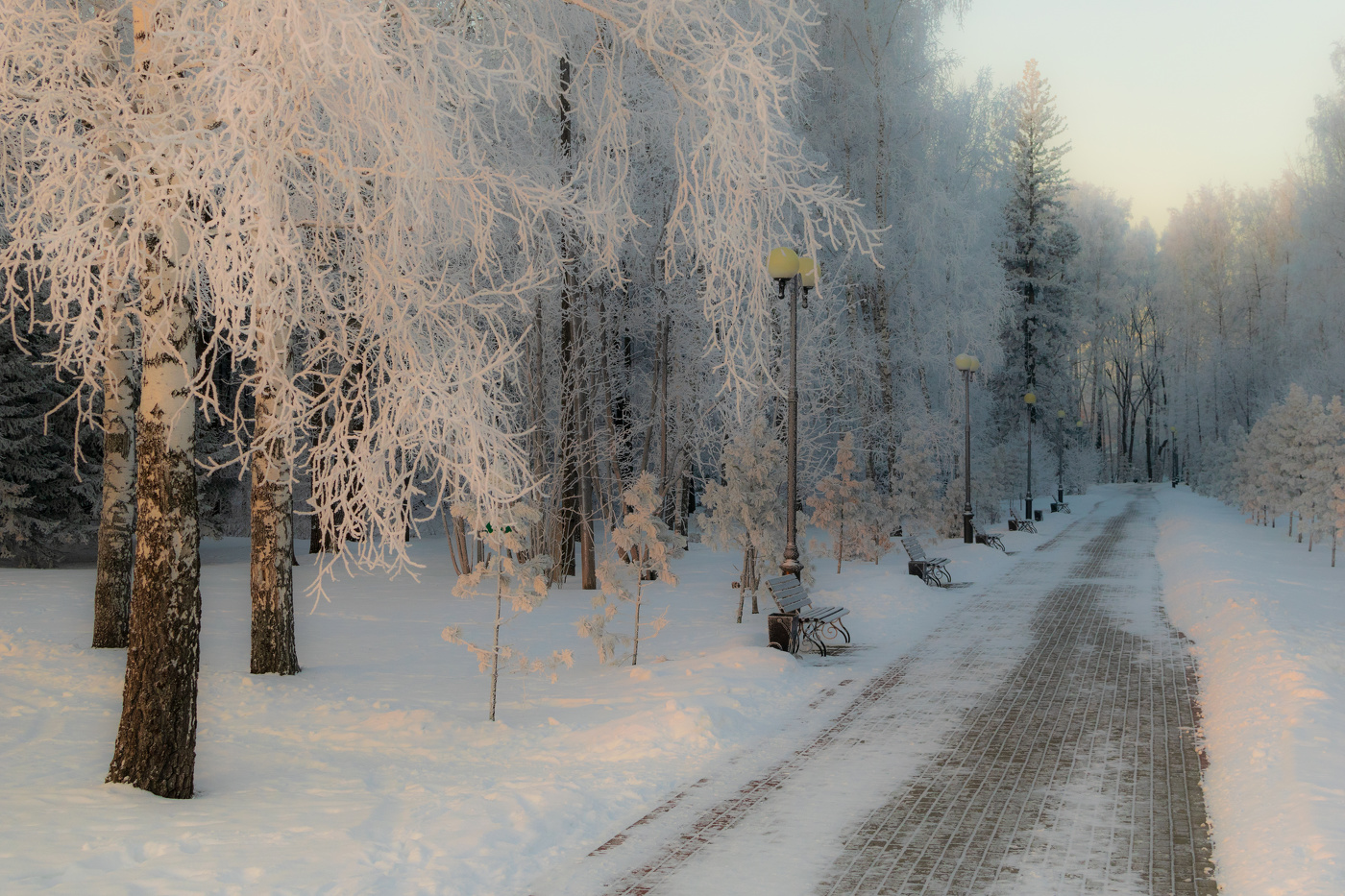 Морозный вечер