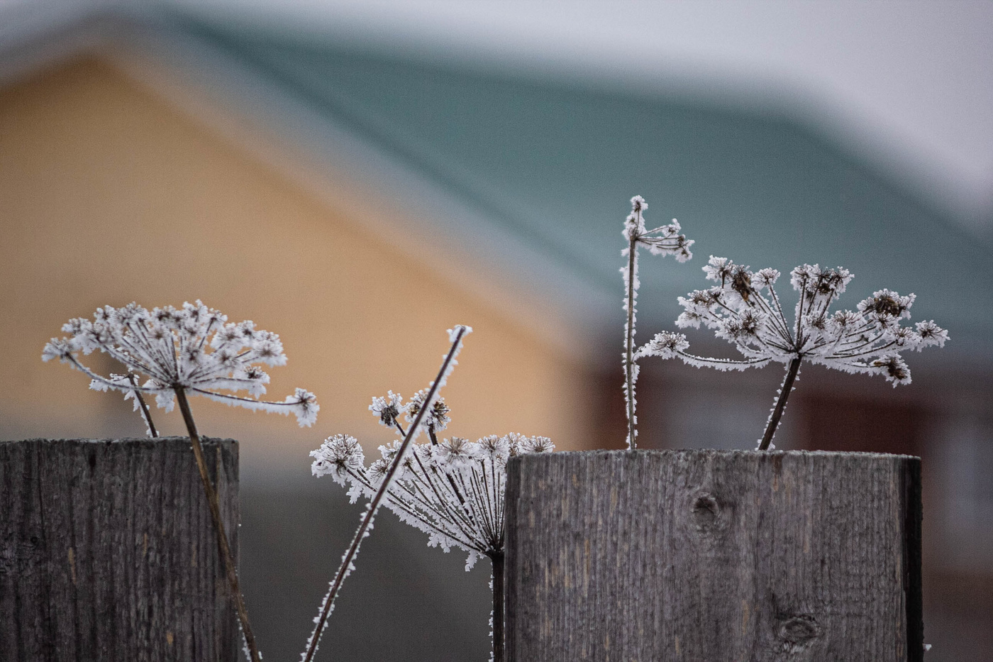 Февральское...