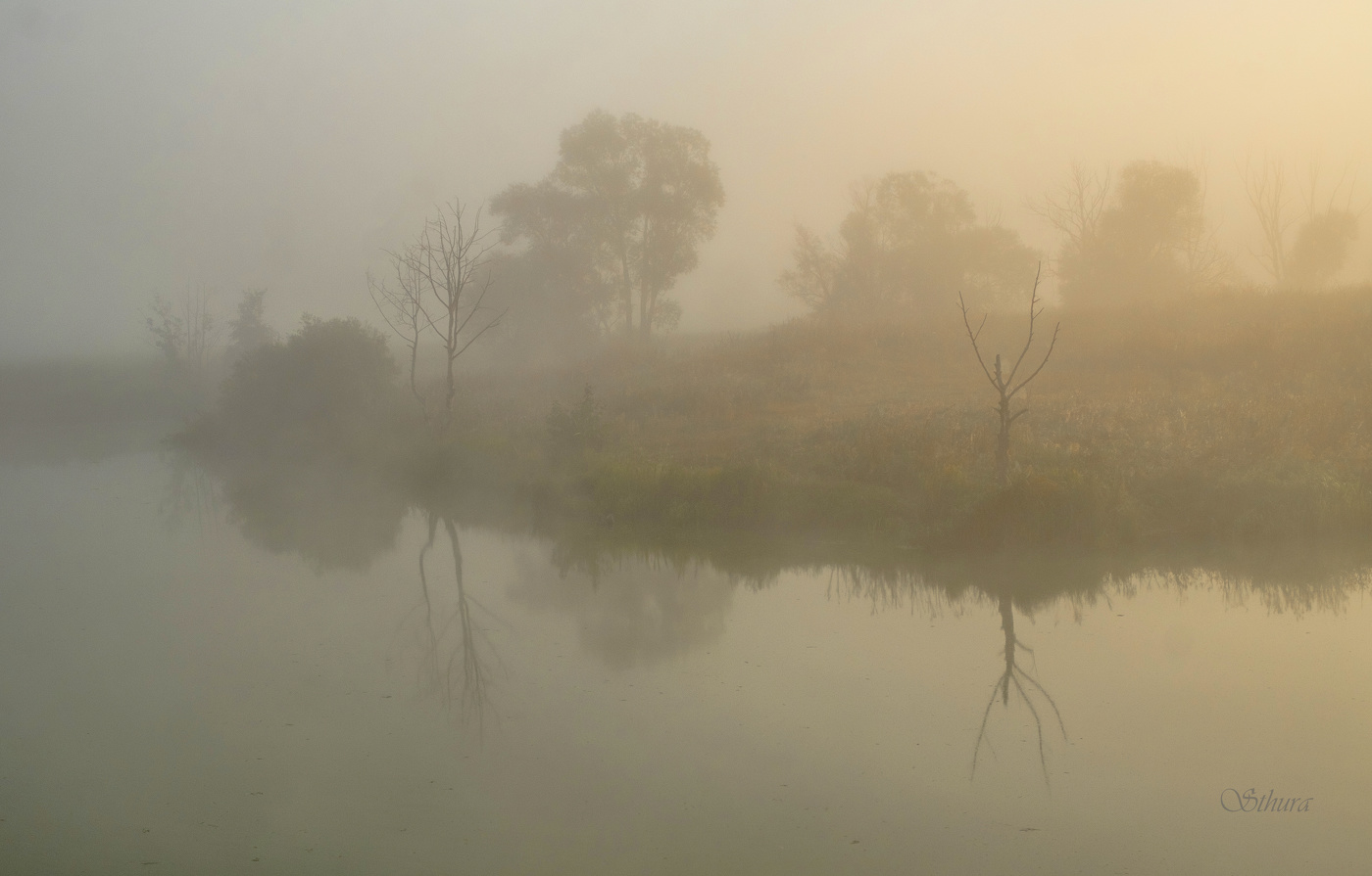 Рассвет в тумане.