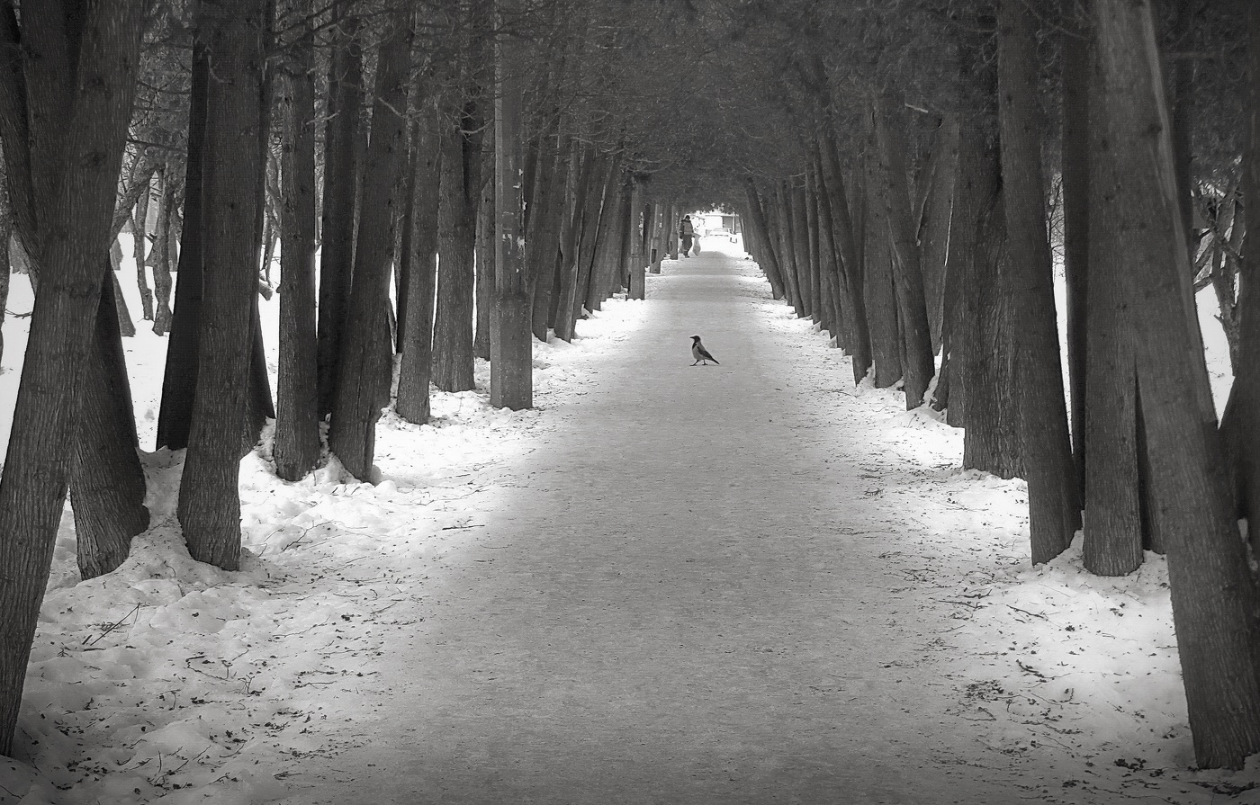 Важная персона.