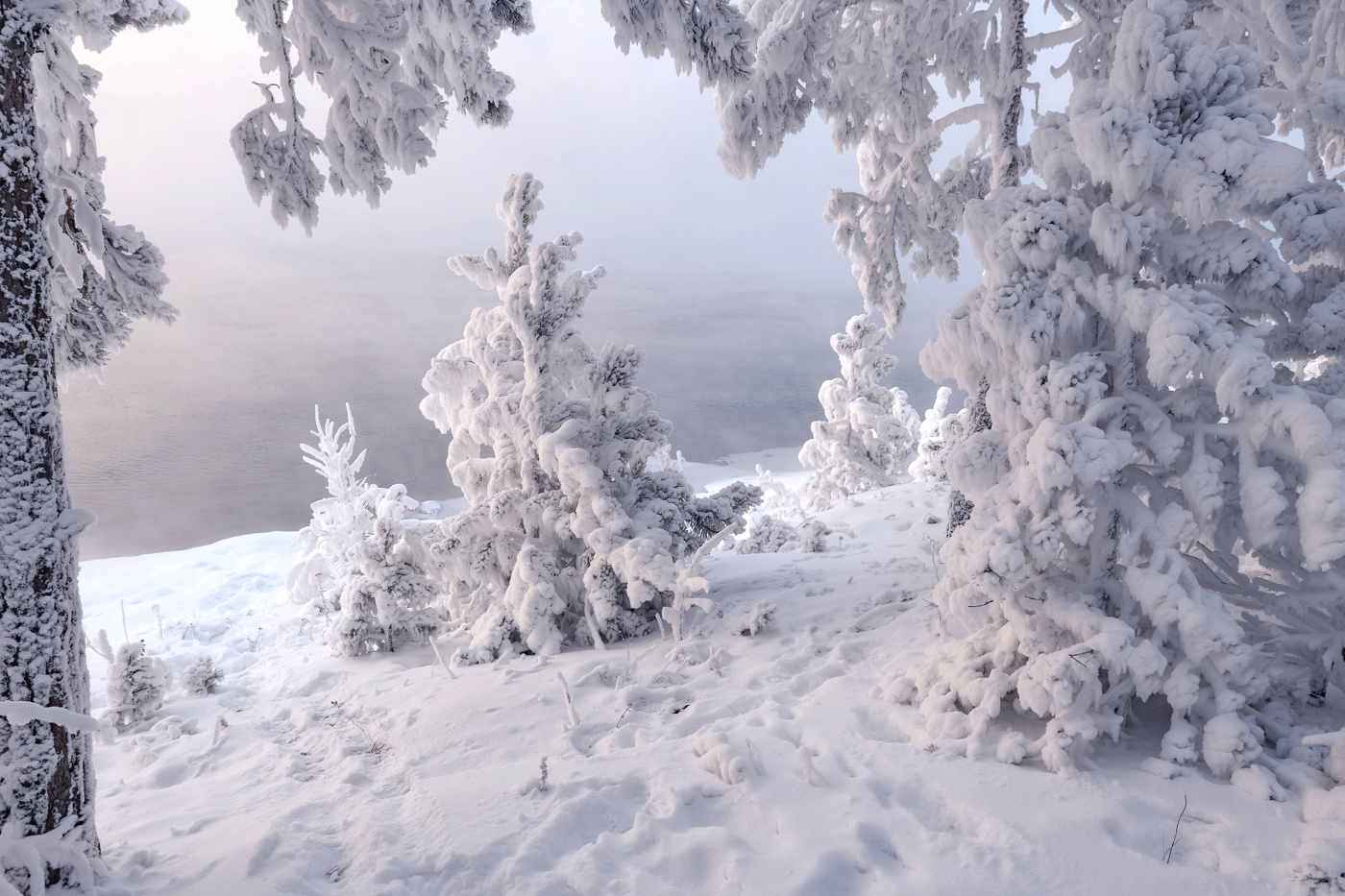 Морозный берег