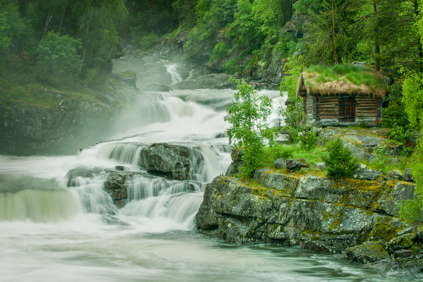 Там чудеса: там леший бродит