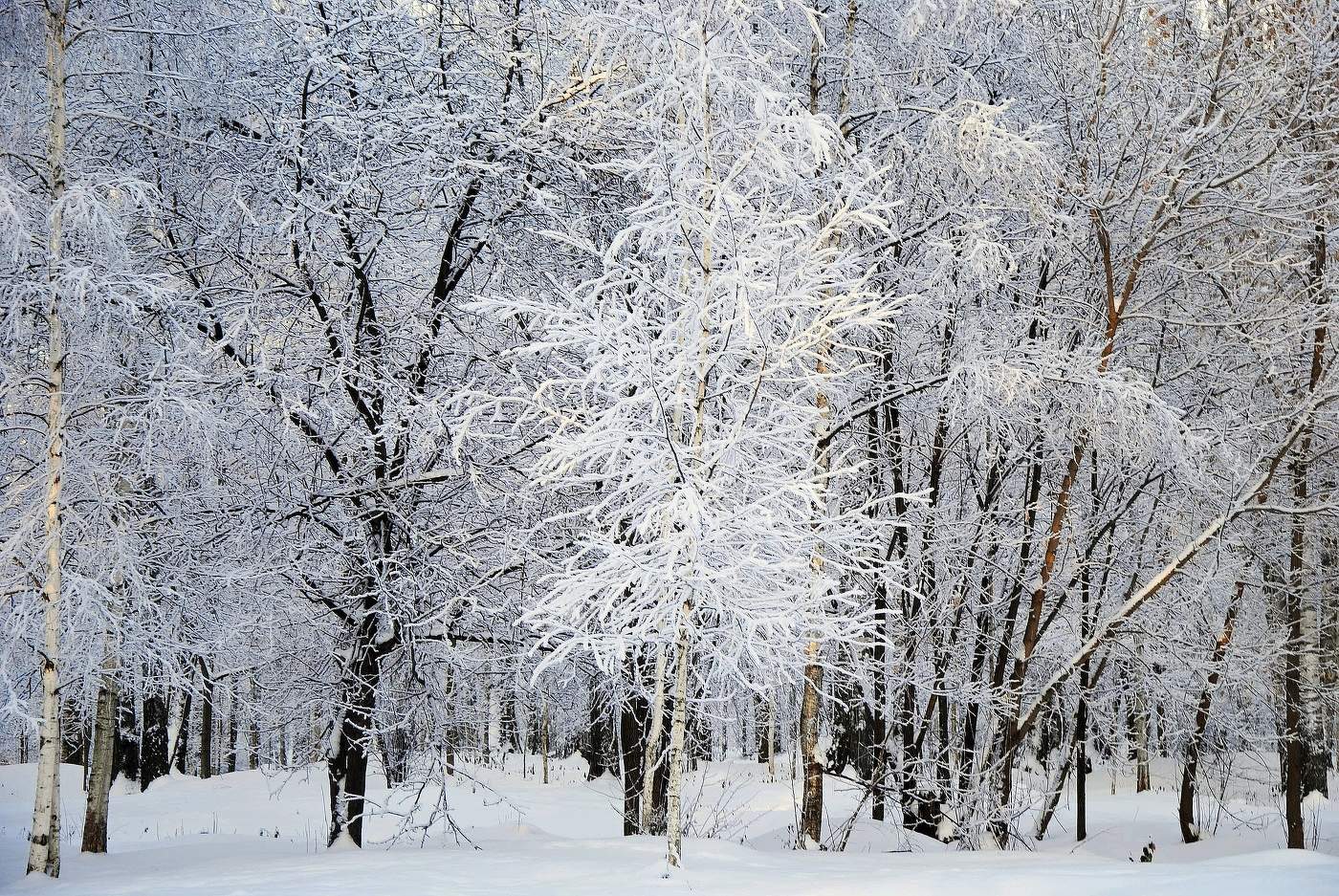 Украшено Зимой.