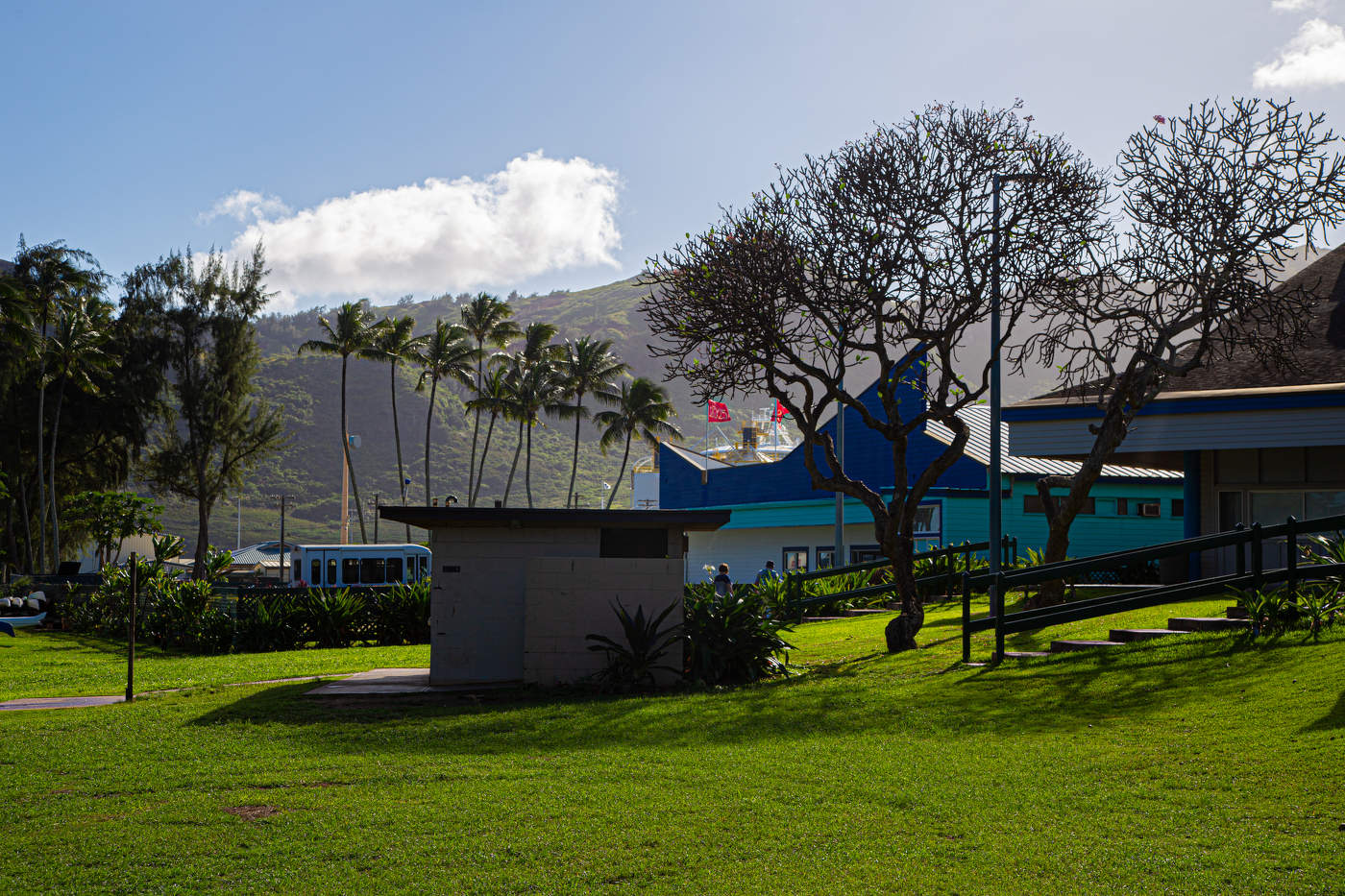 Гавайи. Контражур