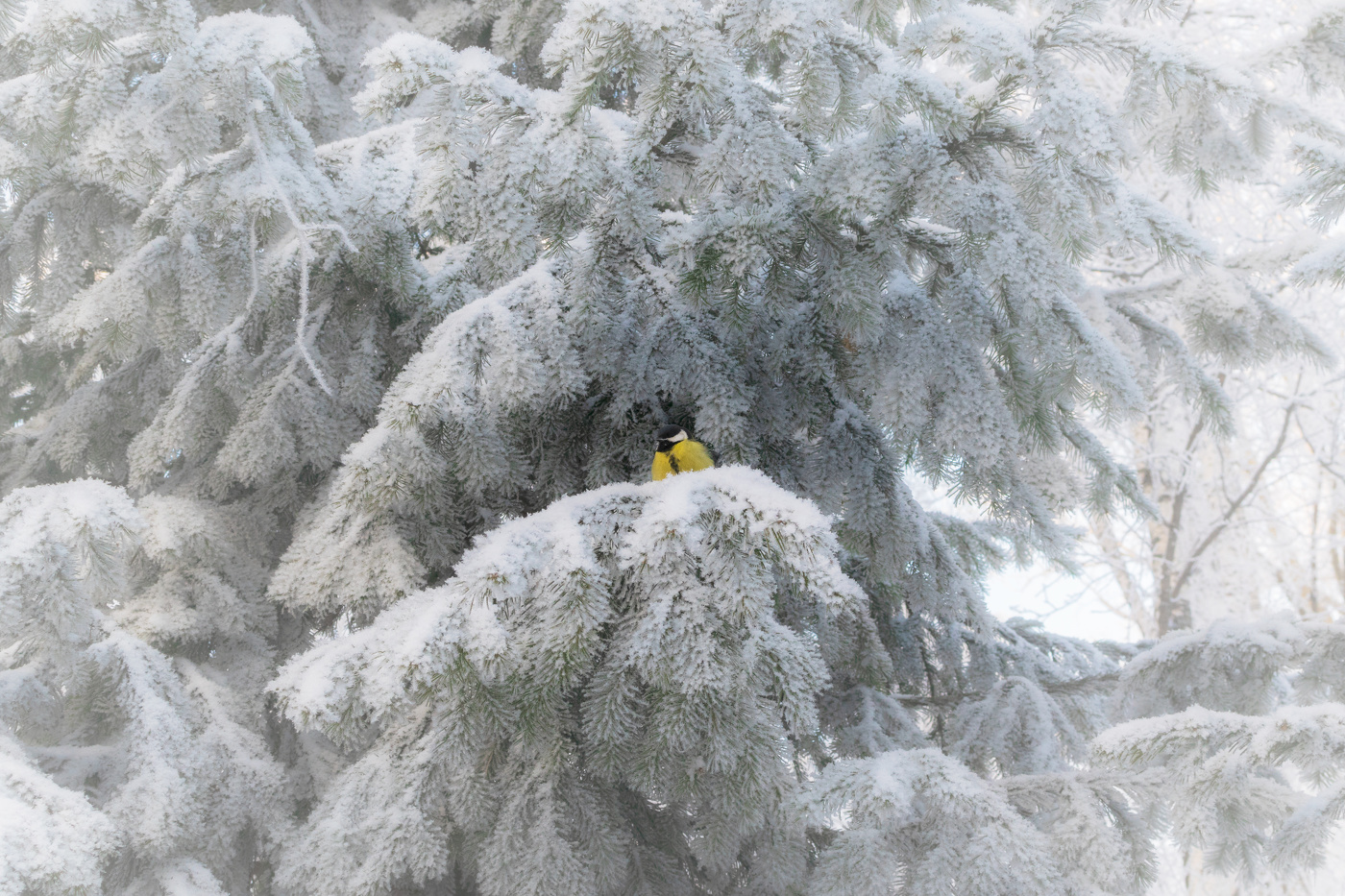 Одиночество