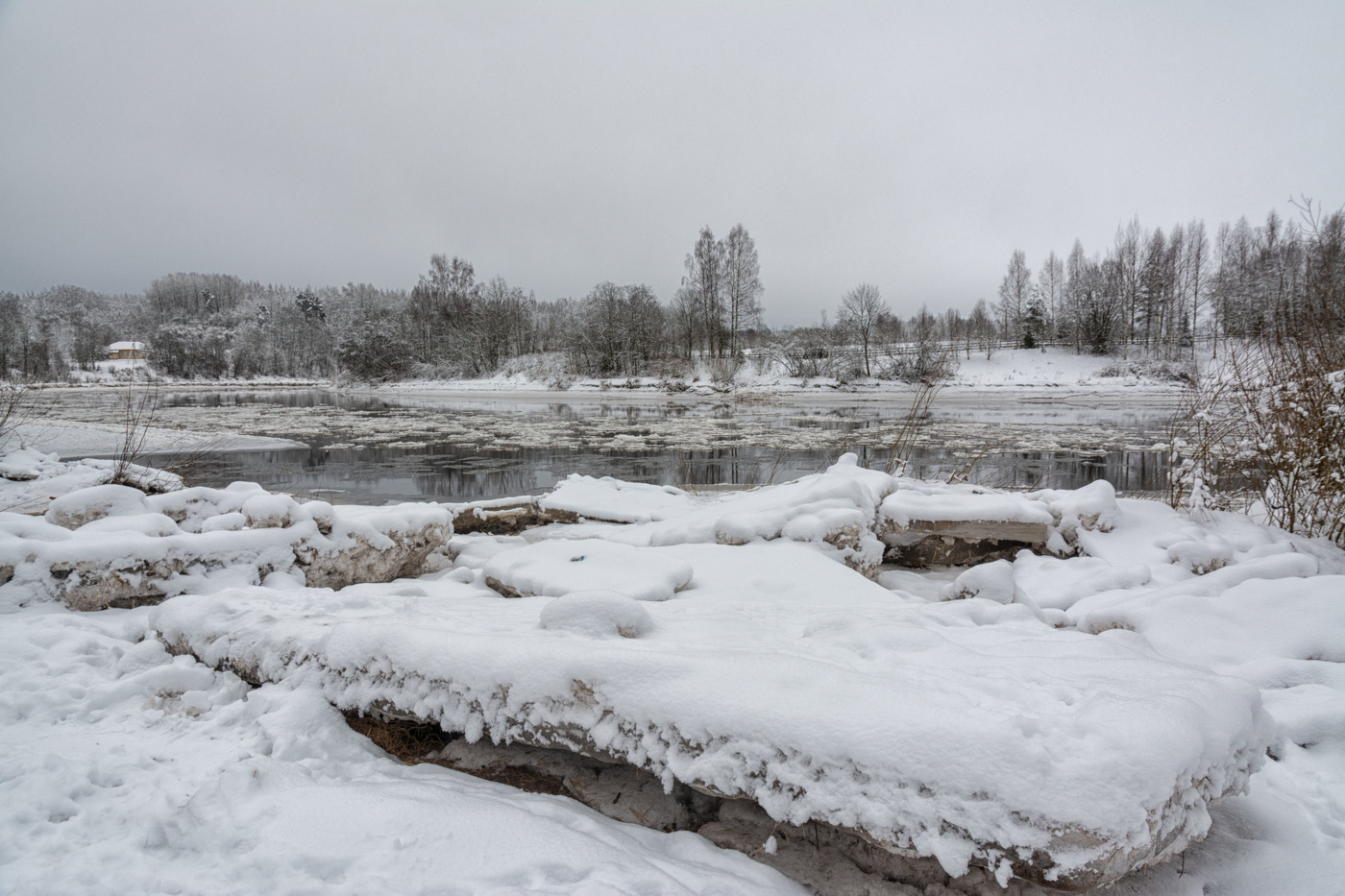 Жизнь вокруг