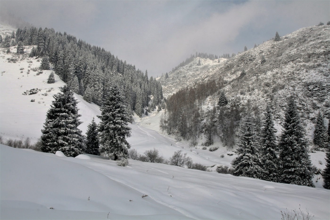 Тропа на перевал