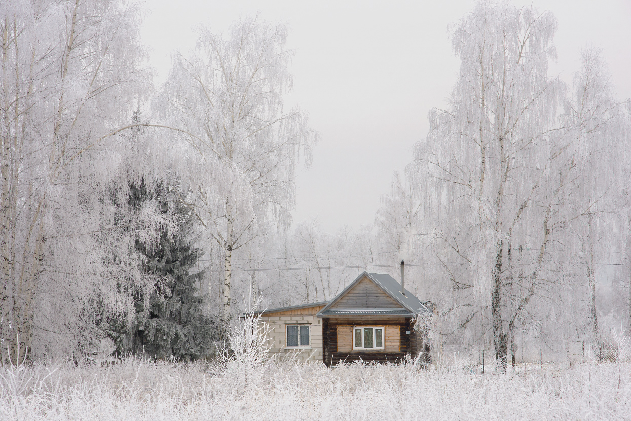 Февральским днем.