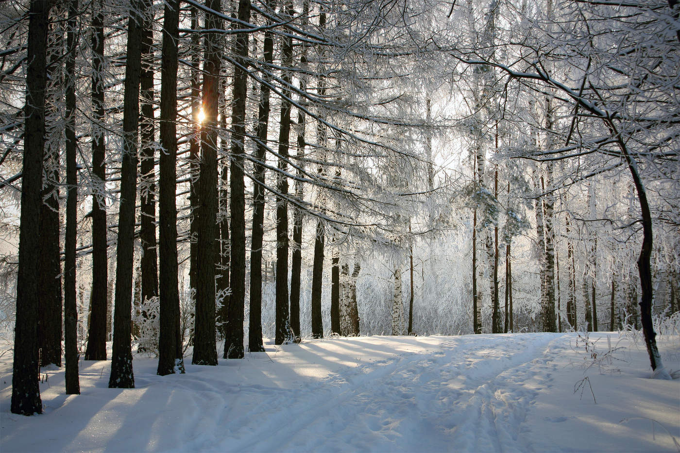 Утро Рождества