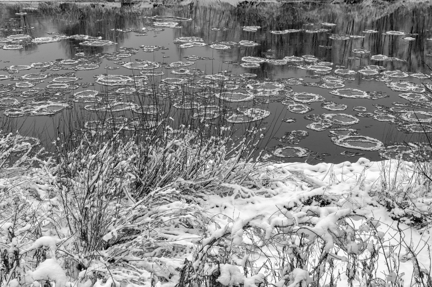 Жизнь вокруг