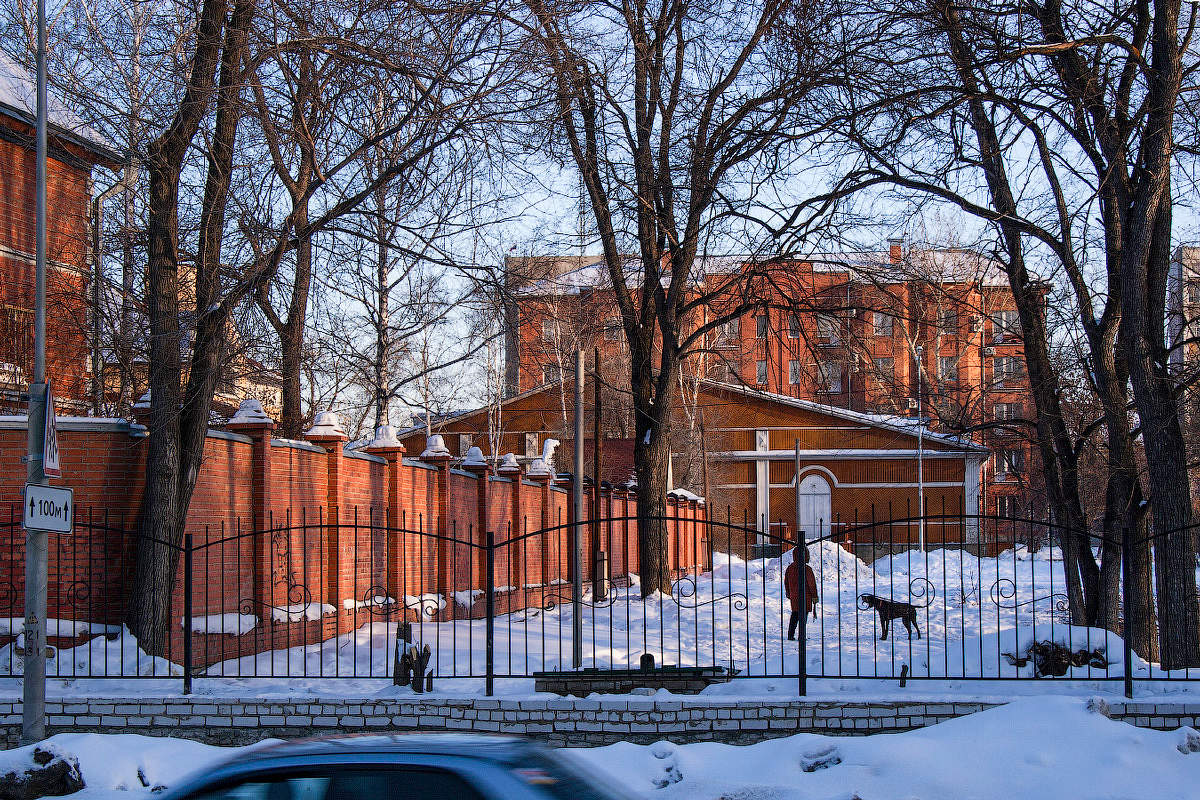 Вечерняя прогулка