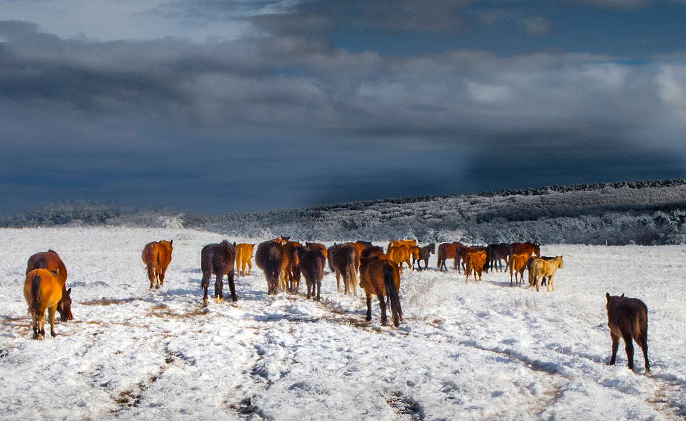 Февраль в Крыму