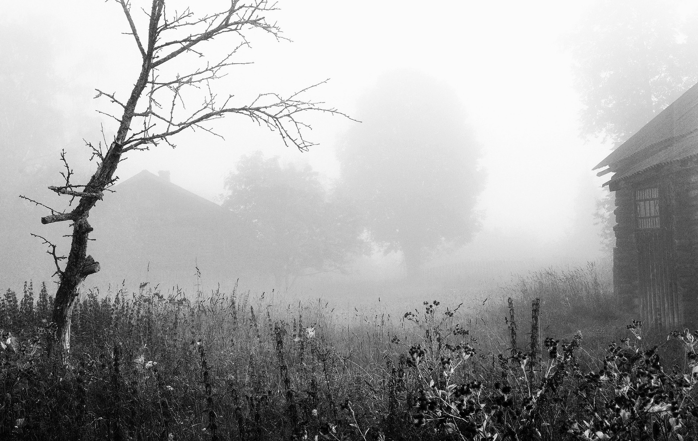 "Утро туманное, утро седое ..."