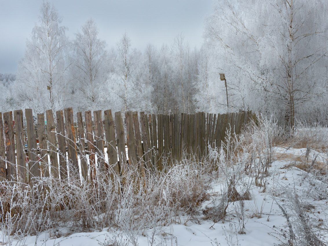 Не летают скворцы в феврале.