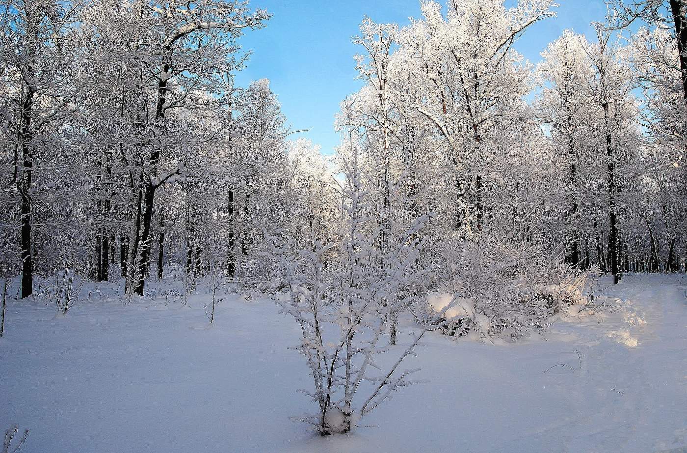 Зимушка-зима