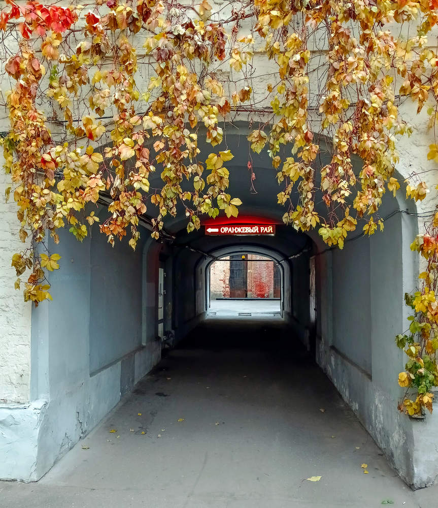 Оранжевый Рай.
