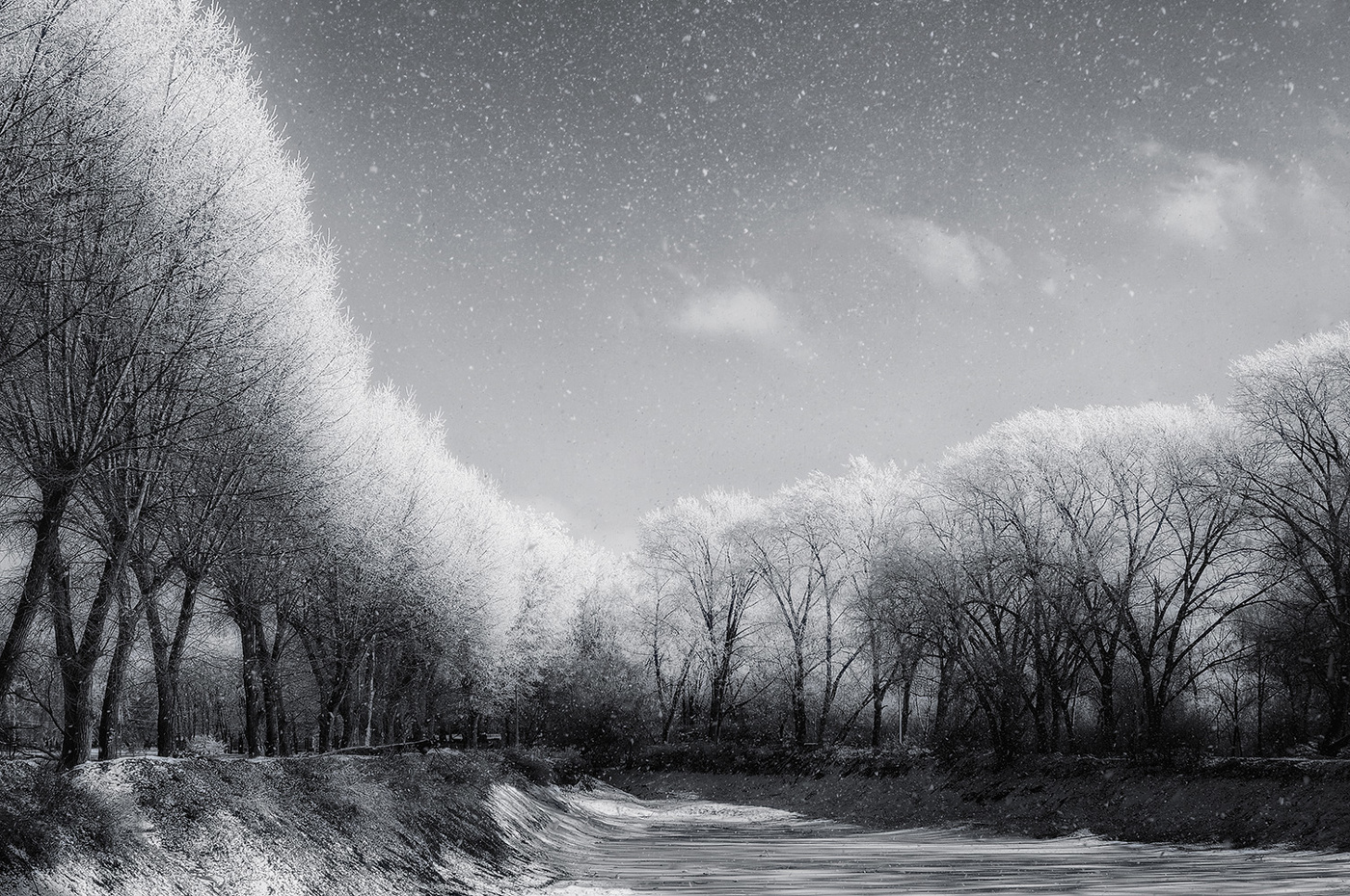 Ледяной дождь