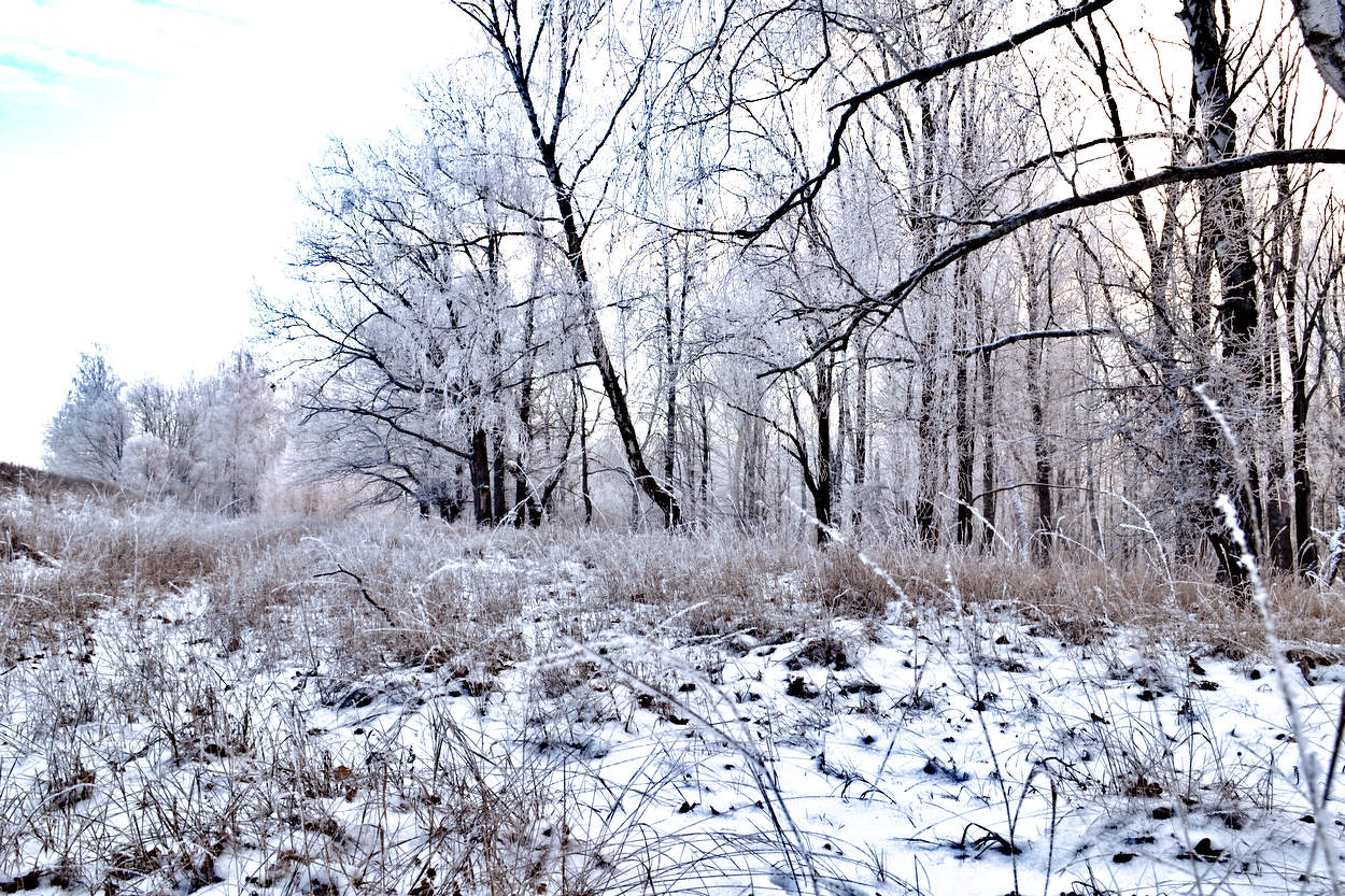 Зимние природные явления