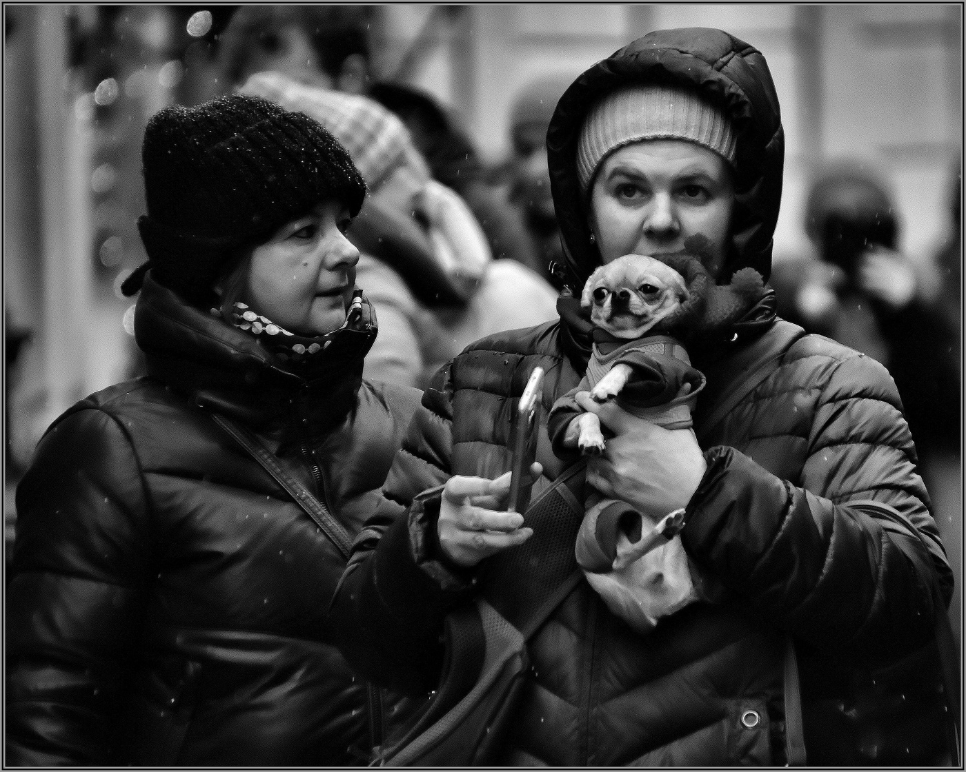 ..... Городская прогулка ....