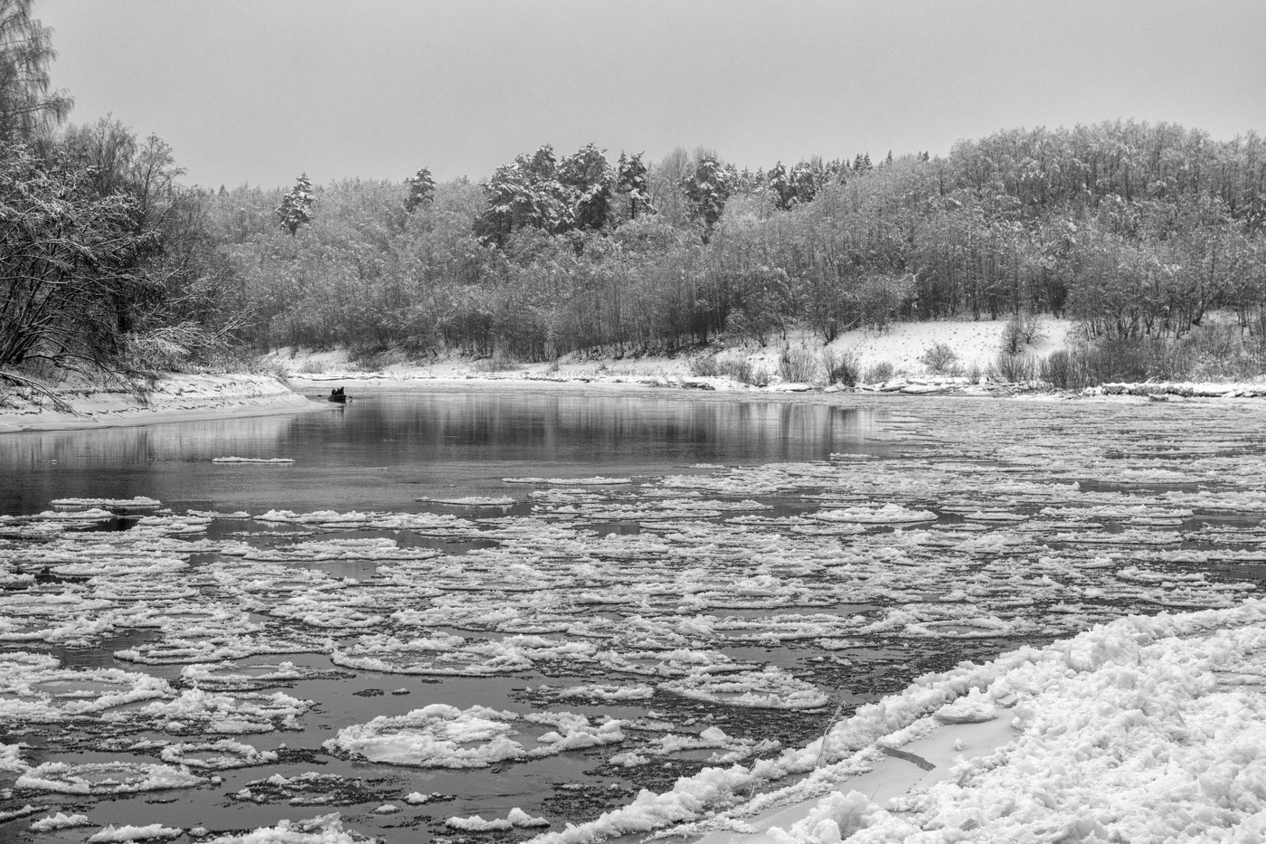 Жизнь вокруг