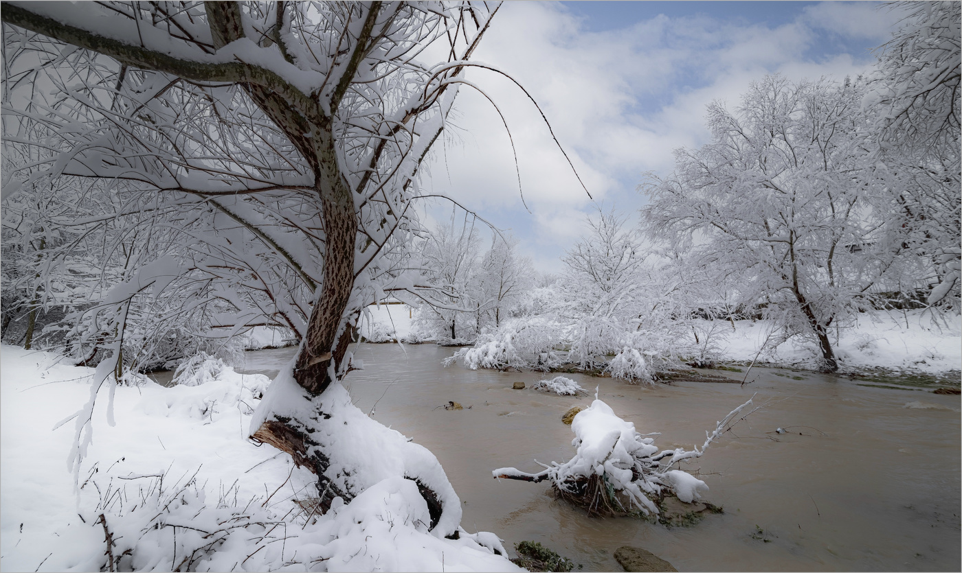 Причерноморский зимний день