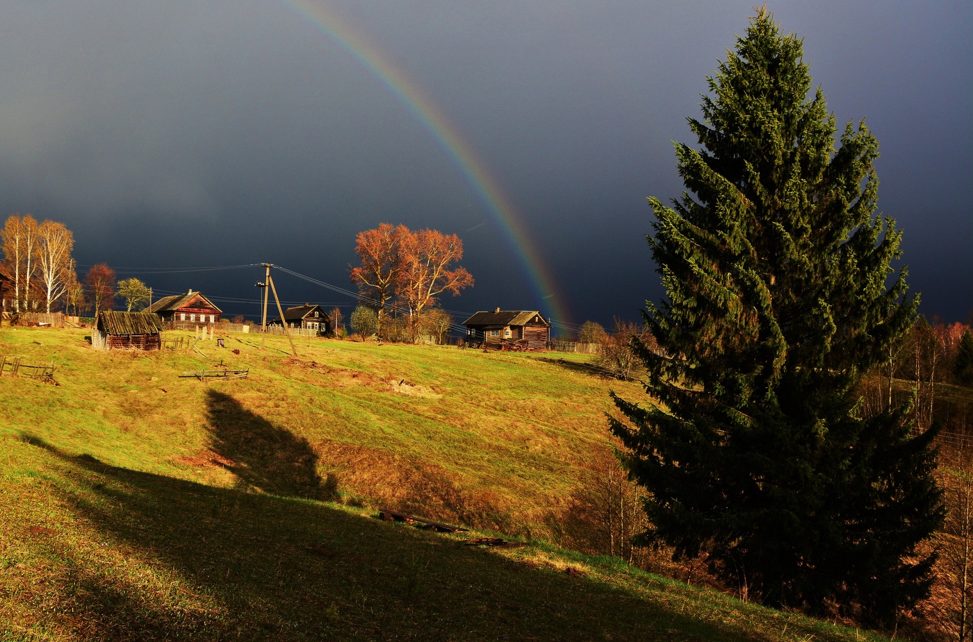 "Был вечер. Небо меркло. Жук жужжал ..."