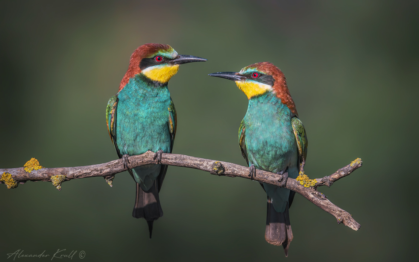 Посидим, поглядим...