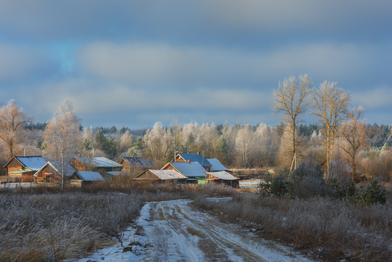 Морозный день.