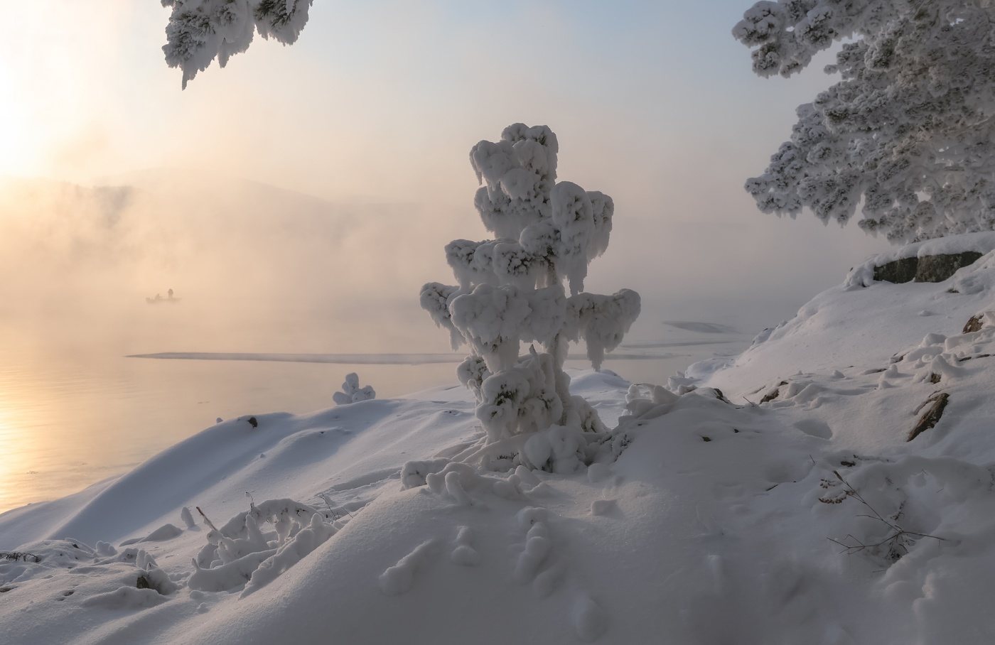 Наблюдатель